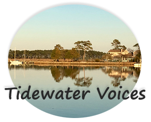 Tidewater Voices: Conversations in Southeastern Virginia