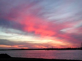 Miscellaneous Articles, Papers, and Reports