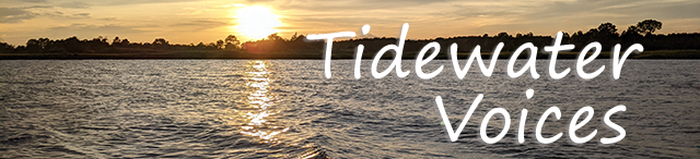 Tidewater Voices