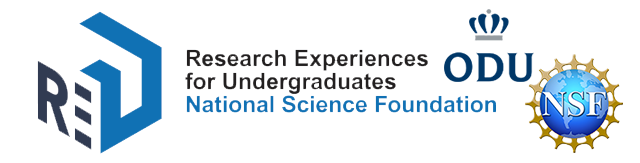 NSF Research Experiences for Undergraduates (REU) Programs 2021