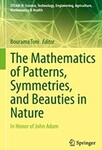 The Mathematics of Patterns, Symmetries, and Beauties in Nature: In Honor of John Adam by Bourama Toni (Editor) and John Adam (Honoree)